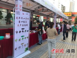 爱心汇聚明珠广场，2018龙华羊山美味扶贫展销情暖椰城